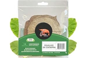 GIOIA SHRIMP Catappa Leaves - Natural Water Conditioner Catappa Leaves Aquarium for Shrimp’s Habitat - Catappa Indian Almond Leaves to Lower pH Fish Tank in Blackwater Aquascape by Gioiashrimp - 10 Pcs.