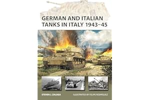 German and Italian Tanks in Italy 1943–45: 344 (New Vanguard)