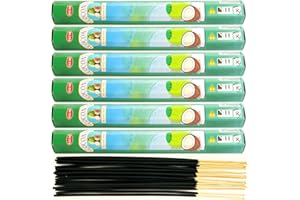 ‎AQASHA 6X Räucherstäbchen Hem verschiedene Düfte | Insgesamt 120 Sticks (Kokosnuss)