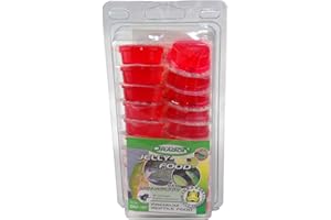 DRAGON Jelly Food Lot de 20 fraises rouges 320 g