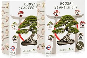 VEGETALIUS - Lot de 2 Kits complets de 6 Bonsai avec graines & accessoires - Fabriqué en France - Idée coffret cadeau original pour femme & homme pour votre intérieur ou jardin