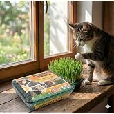 Meraklı Bah&ccedil;eci Kedi &Ccedil;imi - Kedi Sindirim Sistemini Rahatlatıcı Sağlıklı Kedi Otu