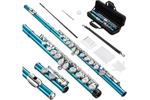 POGOLAB Flûtes à Trou Fermé en C à 16 Touches pour Débutant, Enfant, Orchestre, Groupe d'école, Etudiants avec Sac de Transport, Sangle, Tige de Sonde, Gants, Graisse, Kit de Nettoyage(Bleu)