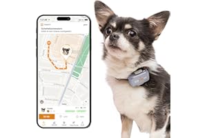 Pawfit Lite GPS-Tracker mit 4G für kleine Hunde | Tracking in Echtzeit | Aktivitätsüberwachung |Standortverlauf | Unbegrenzte Reichweite | Fliedergrau