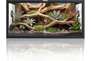 Phailozoo 50 Gallon Reptile Vivarium Front Opening Bearded Dragon Vivarium for Easy Maintenance Gecko Tank with Top Screen Ventilation & Glass Sliding Door 36''x18''x18''