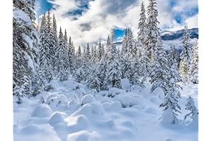 AIIKES 7x5FT Sfondo invernale Cielo all'aperto Fiocco di neve Fotografia Sfondo Foresta innevata Decorazione per feste di Natale Paesaggio di alberi di pino Sfondo fotografico per bambini 12-349