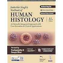 Langman's Medical Embryology, 13ed : Sadler: Amazon.in: Books