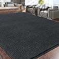 Rururug Living Room Rug, 300 x 200 cm, Short-Pile Microfibre Rug, Soft, Fluffy, Modern, Large Rug, Washable, Anthracite