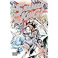 Shaman King. Final edition (Vol. 24)