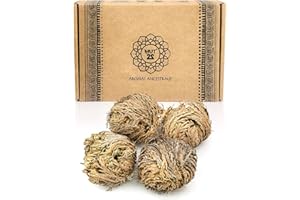 MUT22 4 Rosa di Gerico Mini, Bellezza Naturale e Resurrezione nella Tua Casa (4 Rosa di Gerico Mini)