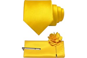 JEMYGINS 3.15" Solid Color Formal Tie and Pocket Square with Tie Clip Lapel Pin Set Mens Necktie for Business and Wedding 4PCS