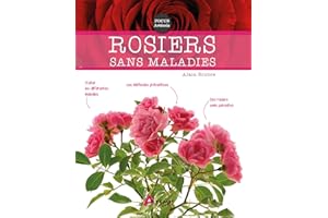 Rosiers sans maladies