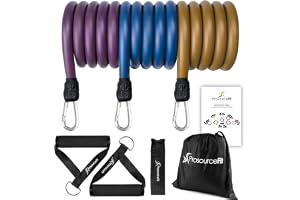 ProsourceFit motståndsband set träningsguide helkroppsövningar och hemträning