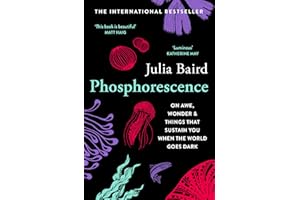 Phosphorescence: On awe, wonder & things that sustain you when the world goes dark