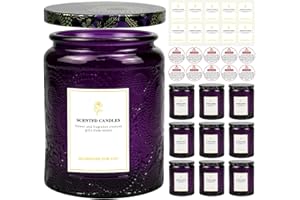 Creahaus 8.8OZ, 9 Pack Embossed Candle Jars for Making Candles, Empty Glass Containers with Tin Lids and Sticker Label, Warning Label for Candle Making Candle DIY Craft (Purple)