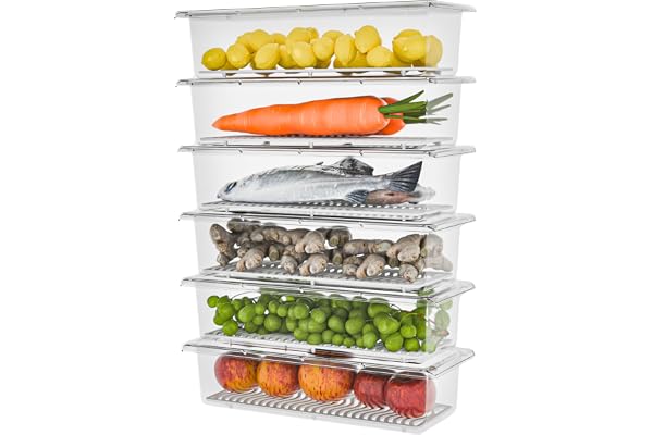 TEX-RO 6 Fridge Storage Containers Fridge Organiser Storage Boxes with Removable Drain Plate, Lids, Stackable Fridge Organizer & Fridge Storage Box Vegetable Storage Box for Refrigerator(1500ML)