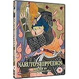 Naruto Shippuden Box 35 (Episodes 445-458)