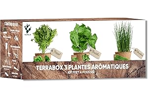 NOPALIA Kit erbe aromatiche e aromatiche - Mini orto interno ed esterno - Semi biologici (basilico, prezzemolo, erba cipollina) - Idea regalo insolito e cucina - Prodotto ecologico - Made in France