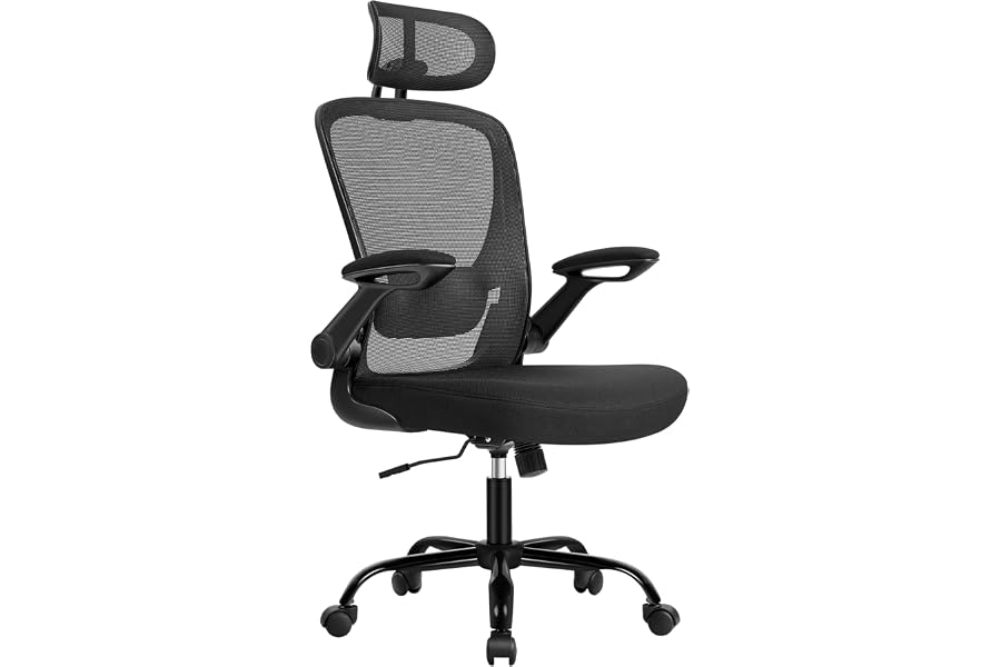SONGMICS Silla de Oficina, de Malla, Ergonómica, Soporte Lumbar, con Reposacabezas