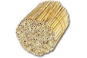 BeeCasa by Hiss Reet® Schilfrohrhalme FEIN | Naturbelassener Bund | Insektenhotel & Bienenhotel Füllmaterial | Niströhren & Nisthülsen für Wildbienen
