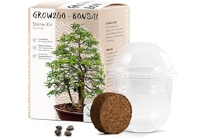 HAPPYSEED GROW2GO Bonsai Kit avec eBook GRATUIT - Bonzai Set avec mini-serre, graines et terre - idée cadeau durable pour les amoureux des plantes (Tamarin)