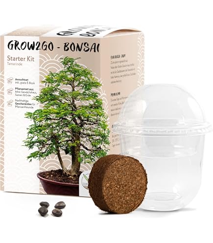 Gift Republic Grow It Geschenkset Bonsai-Pflanzset : Amazon.de: Garten