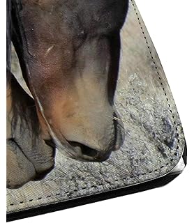 Creadesign Z M 1033 Kinder Zeugnismappe Mit Namen Personalisiert Motiv Pferde A4 24 X 31 X 1 Cm Mit 10 Klarsichthullen Rucken Schwarz Amazon De Burobedarf Schreibwaren