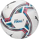 puma final 1 statement