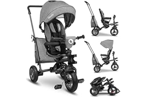 LIONELO Tris Bicicleta 2 en 1 Niño hasta 25 kg 12-60M Triciclo y Carrito- Bicicleta Cinturones de 3 Puntos con Fundas Regulación Gradual del Respaldo de 3 Niveles Gris Oscuro … (Gris)