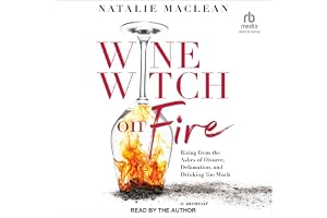 Wine Witch on Fire: Rising from the Ashes of Divorce, Defamation, and Drinking Too Much