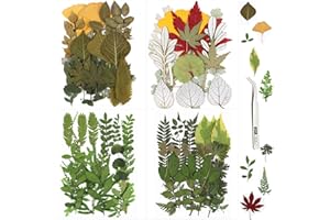 SPOKKI 75PCS Real Dried Leaves for Resin, Assorted Natural Dried Pressed Leaves with Tweezers for Candles Jewellery Scrapbooking Resin Crafts Nails Art (Leave Set)