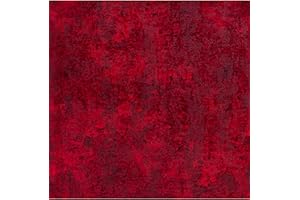 REDS TAPPETO MULTIUSO CUCINA SCENDILETTO LAVABILE LAVATRICE ANTISCIVOLO BAGNO INGRESSO CAMERA RAKU DIS.8 67 X 220