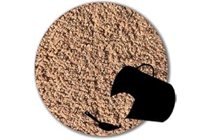 ANBOBO Spielsand für Sandkasten Sandmuschel Sandbox Sandkastensand (10 kg)