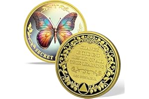 ACGZQY Nüchternheitschip - Regenbogen-Schmetterling AA Münze und Medaille Nüchternheitsmünze Erholungschips Sober Anniversary Token Nüchternheitsgeschenke NA Anonyme Alkoholiker Erholung (Gold)