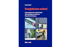 Energiekosten senken!: Sofortmaßnahmen und Strategien, zukunftsfähige Investitionen, kluge Entscheidungen. Wie Sie als Hauseigentümer:in Energie sparen und mehr Energieunabhängigkeit erreichen