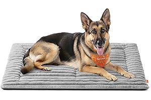 Feandrea Coperta per Cani, XXL, 120 x 75 cm, Coperta per Animali Domestici, Utilizzabile da Entrambi Lati, Copridivano per Cani e Gatti Lavabile in Lavatrice, Grigio Tortora PPB045GD01