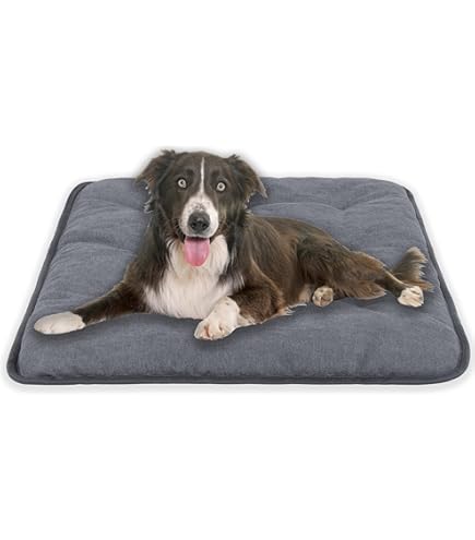 40 Stück Hundematten 80x120 Cm - Extra Saugstark Für Große Hunde