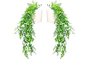 Eco Home Store Piante Artificiali da Interno per Casa e Soggiorno – Pianta Finta Decorativa da Appendere o da Tavolo – Moderni Complementi d’Arredo per la Casa – 2 Pezzi – Eucalipto Verde Chiaro