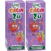 PINAR &Ccedil;ILGIN İKİLİ ELMA &Ccedil;İLEK 200ML 2li paket