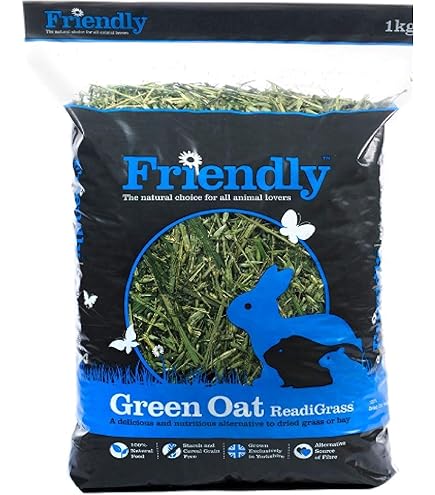 Small Pet Select U2013 Oat Hay Pet Food, 20lb (9.07kg) Box | High-Fiber, Aromatic Hay For Rabbits, Guinea Pigs & Small Pets | Easy-to-Store Packaging