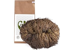 YAKEBA | Rosa de Jericó | XXL | Selaginella lepidophylla | Rosa Jerico | Planta de interior perfecta como decoración o accesorio de terrario/jardín de botella