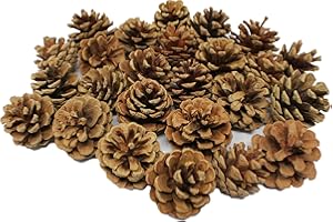 Bright Ideas Natural Pine Cones PK25 4-6cm Ideal for Kids' Arts and Crafts, Christmas, Sensory Stimulation, Festival Party and Festival Decortaion Props for Craft. BI8401.