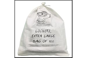 Livefoods4u XL Extra Large Locust Live Food (35-50mm) Bag of 100 | Perfect for Reptiles | Sustainably bred | Live food for Reptiles