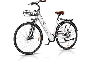 AOIHO Bici Elettrica, 28''Bicicletta Elettrica con Sensore di Coppia, Batteria da 36V 360Wh, Bici Elettrica a 6 Velocità, per Uomo e Donna, Bici Elettrica per Pendolari in Città