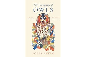 The Company of Owls: The perfect stocking filler the bird lover in your life
