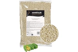 Minotaur Seeds