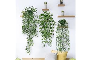 Betylifoy Plantas Artificiales Colgantes de Hiedra con Macetas 3 Piezas 63 cm de Largo Plantas Artificiales sin Mantenimiento Vid para el Jardín del Hogar Decoración Interior y Exterior (Eucalipto)
