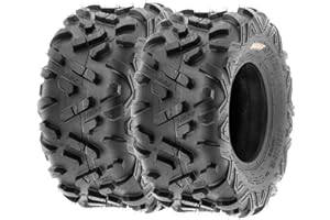 SunF A051 22x10-10 22x10x10 Power.II ATV UTV Pneumatici sportivi 6PR TL 30J, set di 2 pezzi