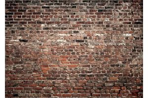 LYWYGG 8x6FT Backsteinmauer Foto Hintergrund Braune Backsteinmauer Familienfeier Party Hintergrund Baby Prop Fotografie Brauner Hintergrund Fotostudio Hintergrund Studio Hintergrund CP-312-0806