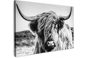 MuchoWow© Bild auf Leinwand Groß 120x80 cm XXL Schlafzimmer Bilder Schwarzweiss Wand Deko Wohnzimmer Modern Wanddeko Geschenk Kuh Leinwand - Schottisches Hochlandrind - Highland Cow - Hörner